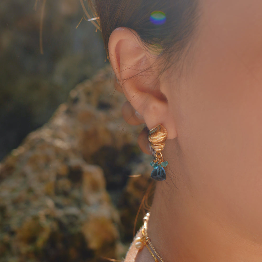 Ocean's Blue Earrings