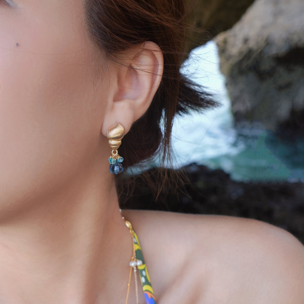 Ocean's Blue Earrings