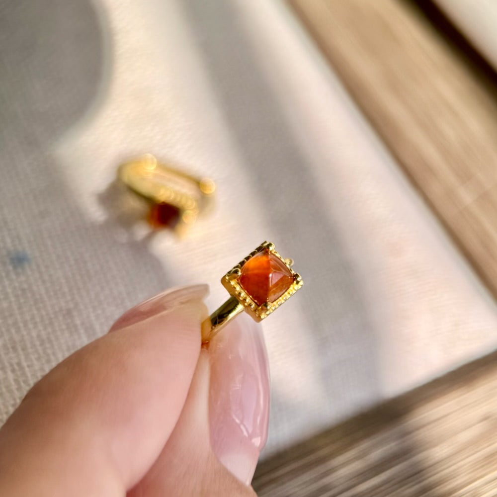Fanta Garnet Earrings